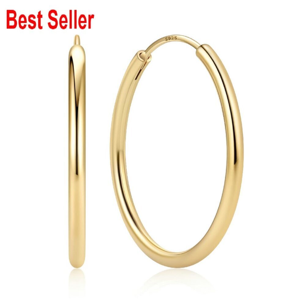Sterling Silver Hoop Earrings Hypoallergenic Elegant Minimal Classic Style